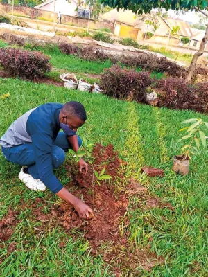 Davis Reuben Sekamwa