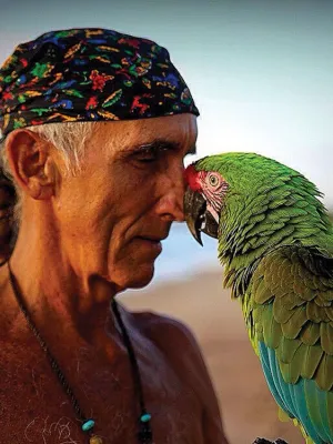 Four Arrows (Wahinkpe Topa)