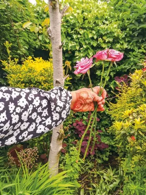 Indlieb Farazi Saber