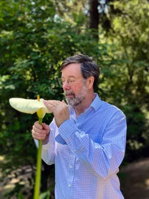 Llewellyn Vaughan-Lee