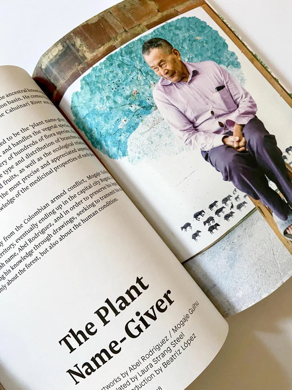 a photograph of a magazine spread