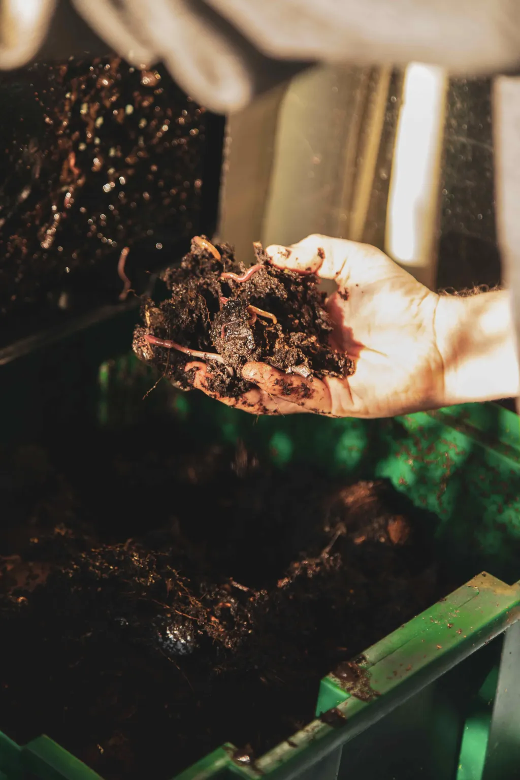 The Compost Connection