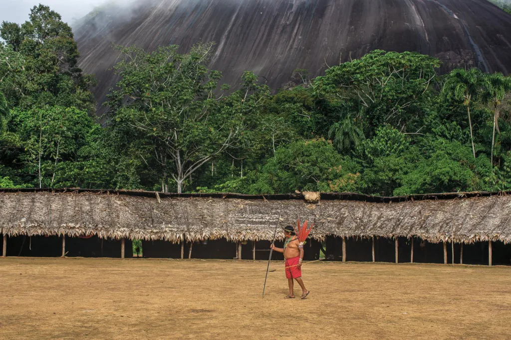 ‘You don’t know the spirits of the forest’